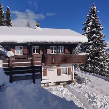 Chalet Grazia Рідеральп Екстер'єр фото