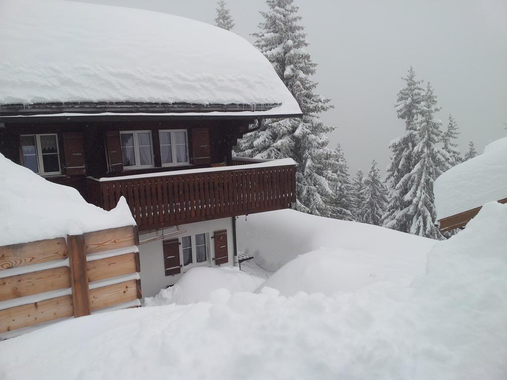 Chalet Grazia Рідеральп Екстер'єр фото