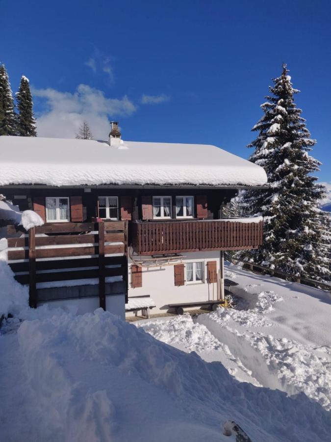Chalet Grazia Рідеральп Екстер'єр фото